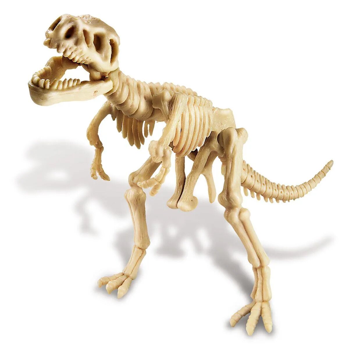 4m-dinosaurier-ausgrabung-t-rex-E0A013763.jpg
