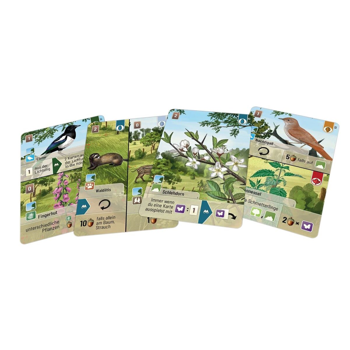 Asmodee Lookout Spiele Mischwald – Waldrand