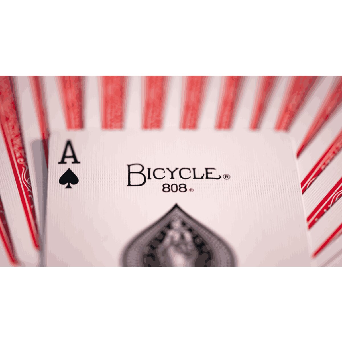 bicycle-kartenspiel-gold-standard--FC18ABA57.jpg