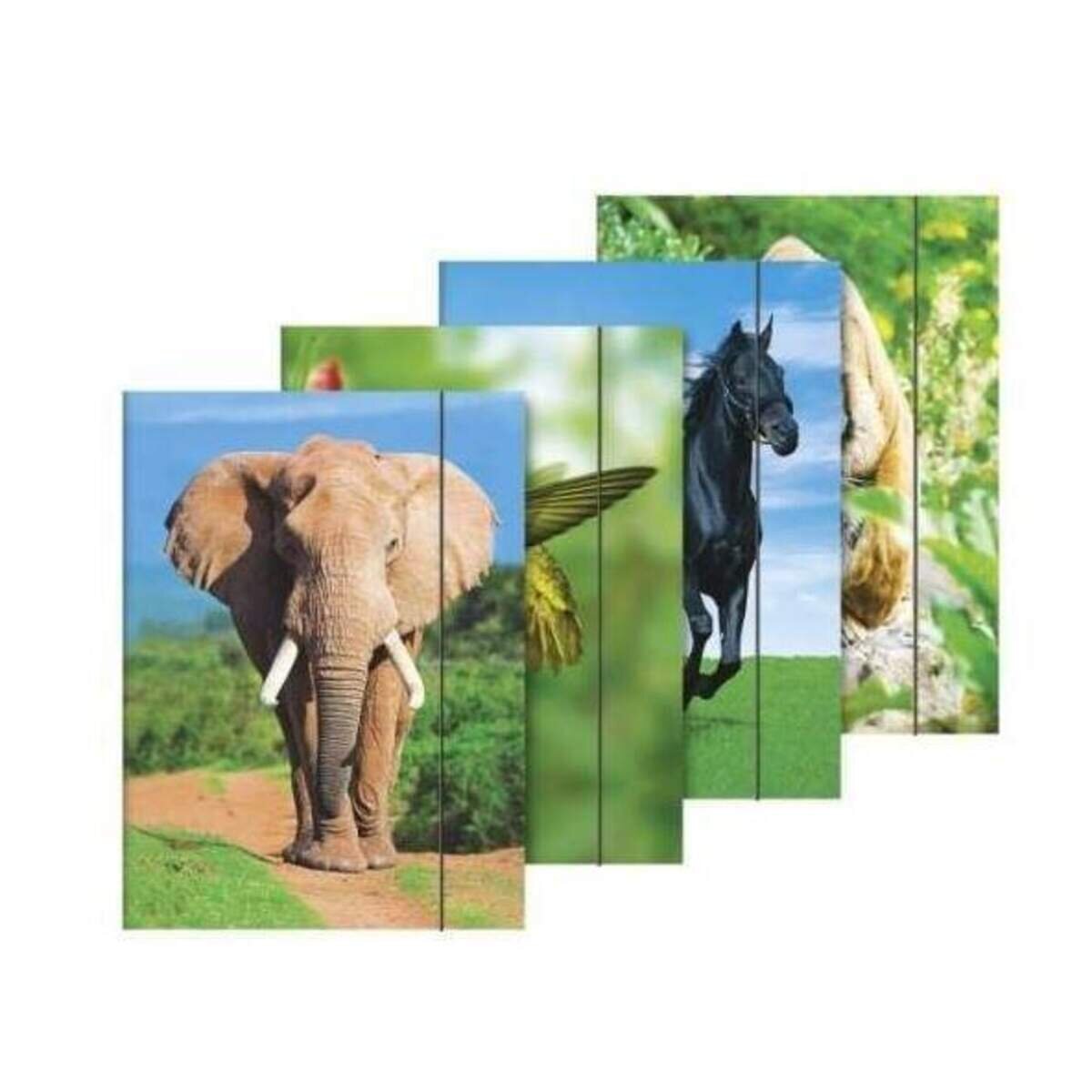 brunnen-sammelmappe-a3-tiere-gummizug-209B7EF51.jpg