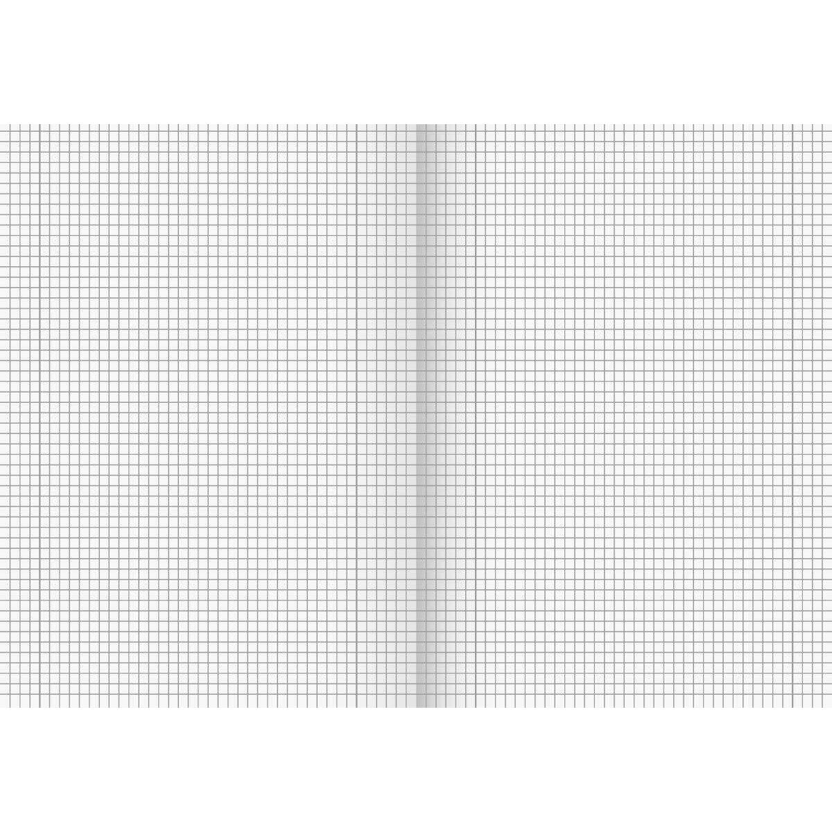 BRUNNEN Schulheft RCP, A4, Lin 28, 16 Blatt