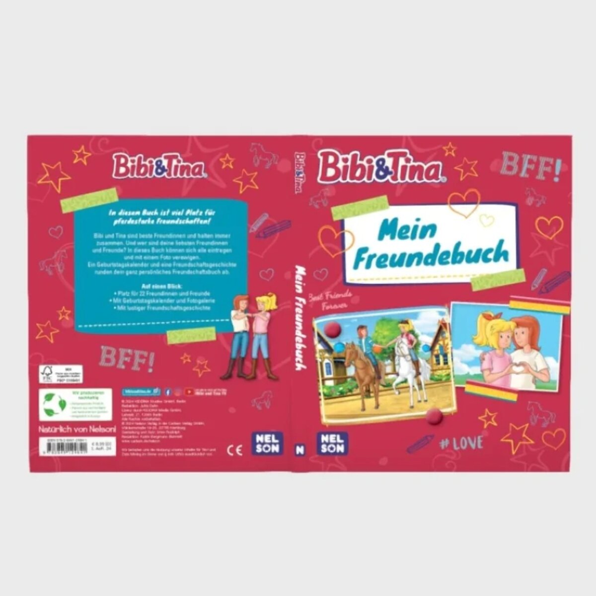 Carlsen Biby & Tina: Mein Freundebuch