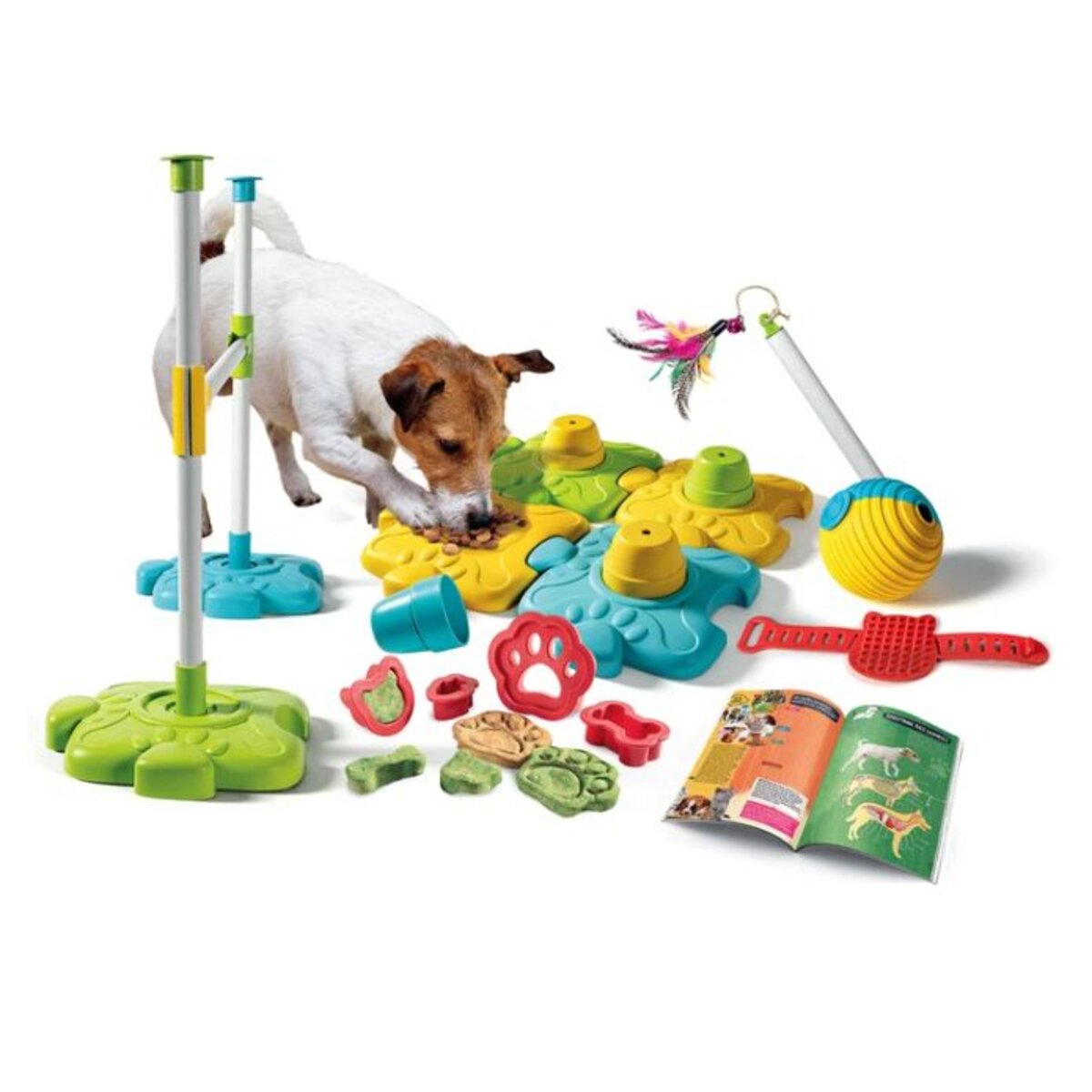 Clementoni Galileo Dein Haustier - Aktivitäts-Set