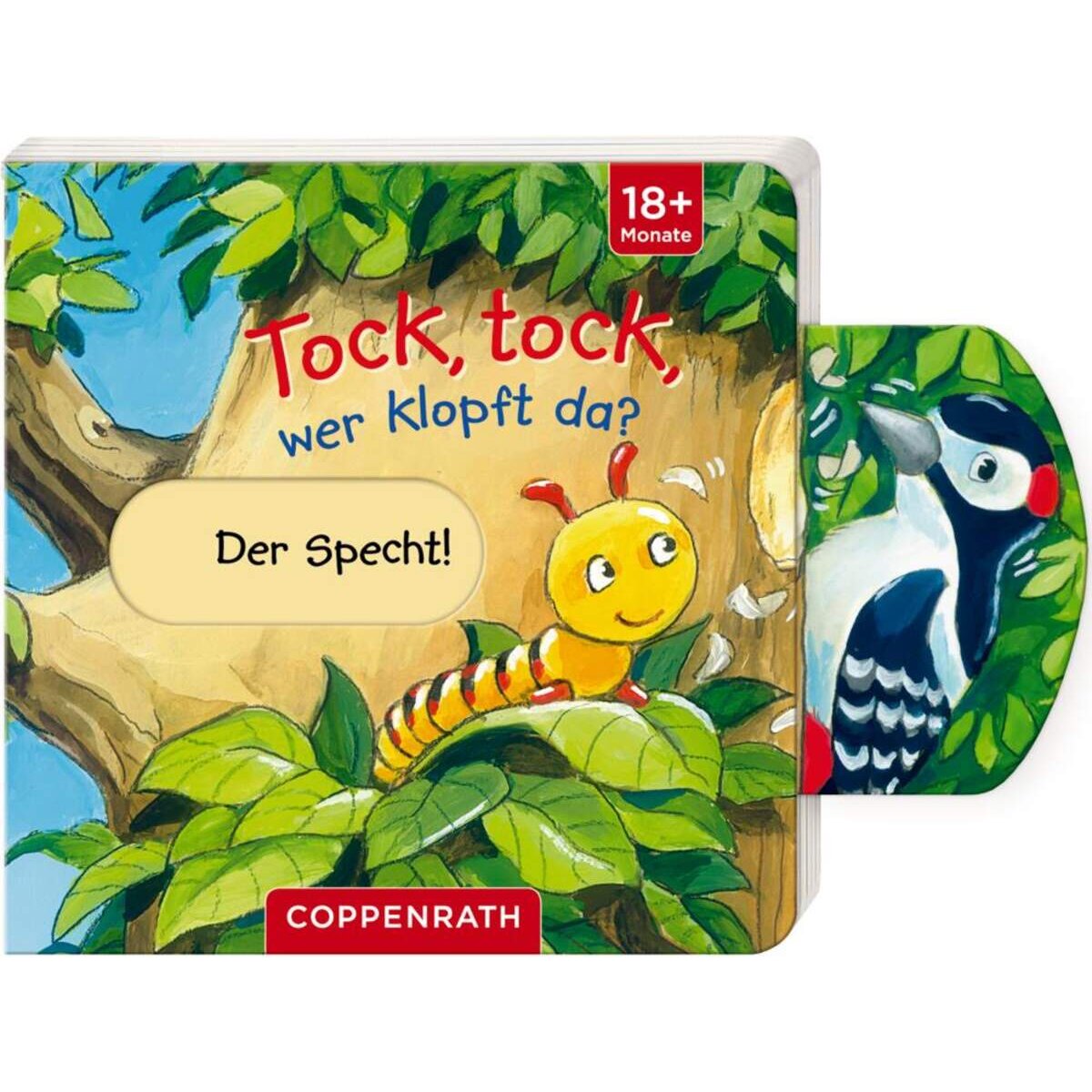 coppenrath-mini-pappe-mit-schieberntock-668FAE8B1.jpg