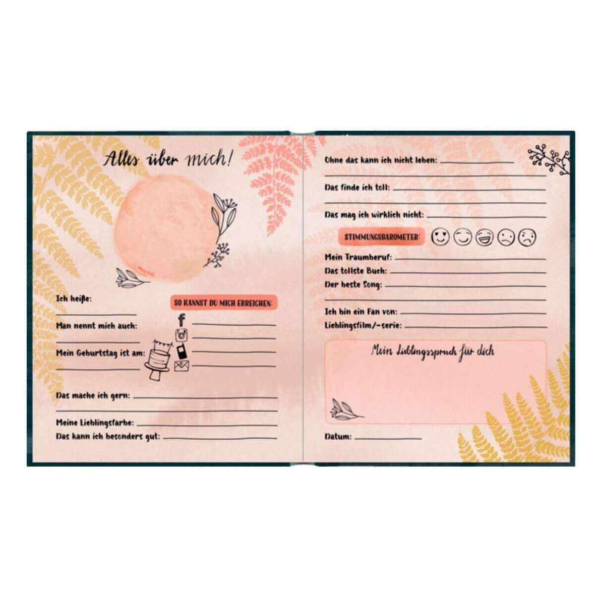 coppenrath-verlag-freundebuch-handlettering--CD8591202.jpg