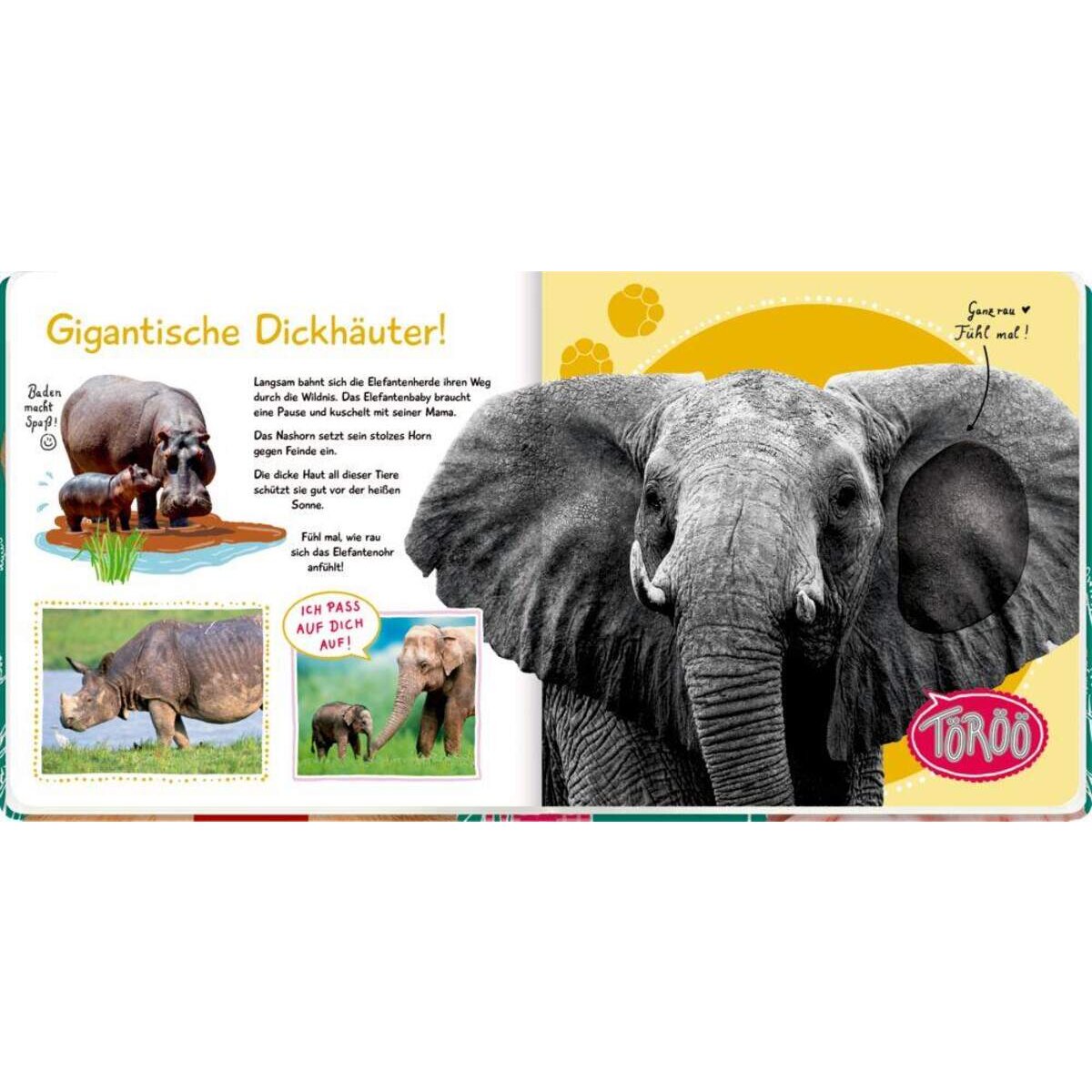 Coppenrath Verlag Fühl mal hier, kennst du das Tier? Wilde Tiere (Fühlen & begreifen)