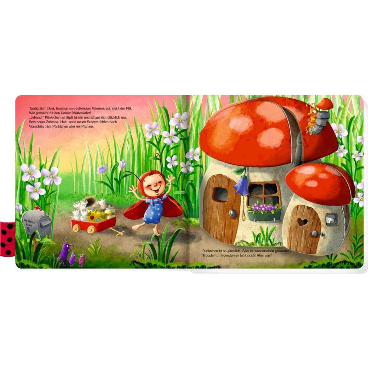 Coppenrath Verlag Ich bin der kleine Käfer Pünktchen