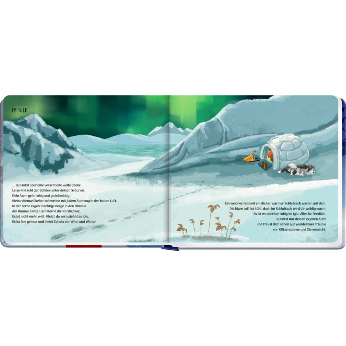 coppenrath-verlag-schlafanzug-traumreisen-kinderleicht-72C01E615.jpg