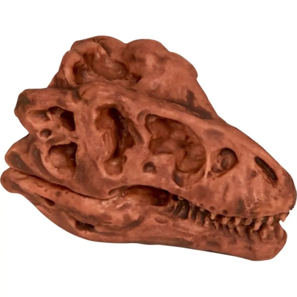 die-spiegelburg-ausgrabungsset-dinosaurier-schaedel-B51FB1B74.jpg