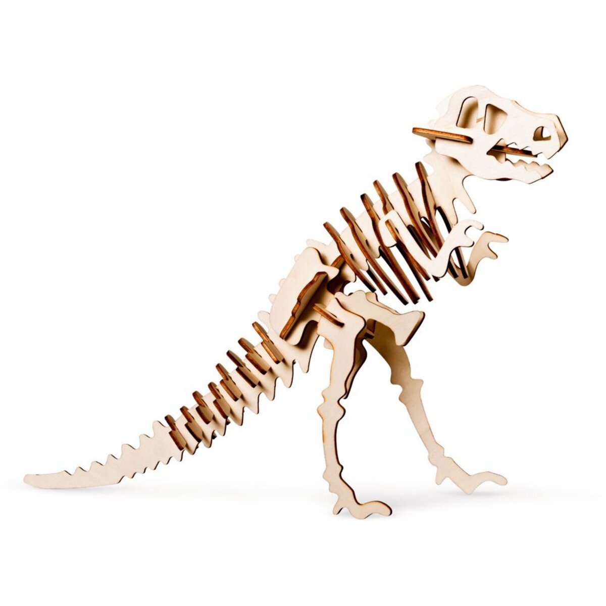 die-spiegelburg-skelett-bausatz-tyrannosaurus-861EDF003.jpg