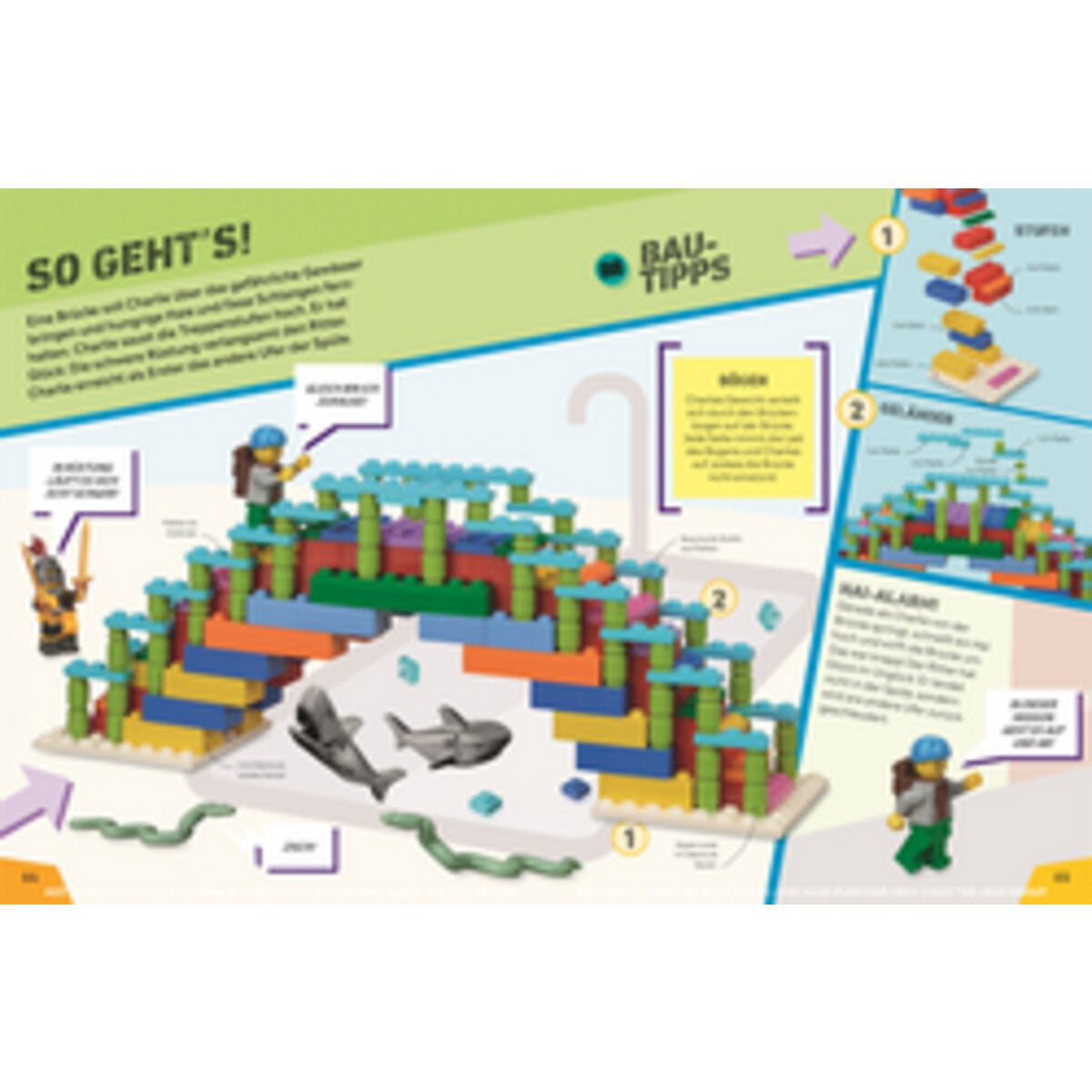 DK Verlag LEGO® Minifiguren in geheimer Mission