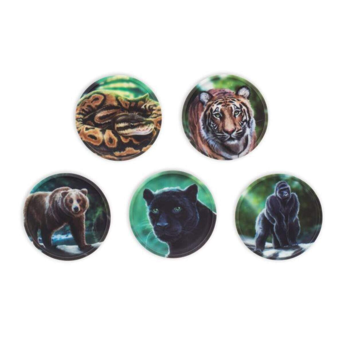 ergobag Klettie-Set Dschungel, 5-teilig