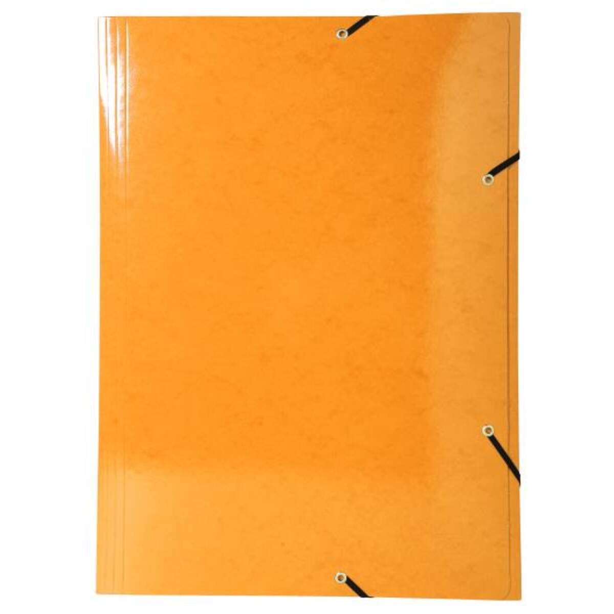 exacompta-sammelmappe-iderama-600gm2-a3-3079F5026.jpg