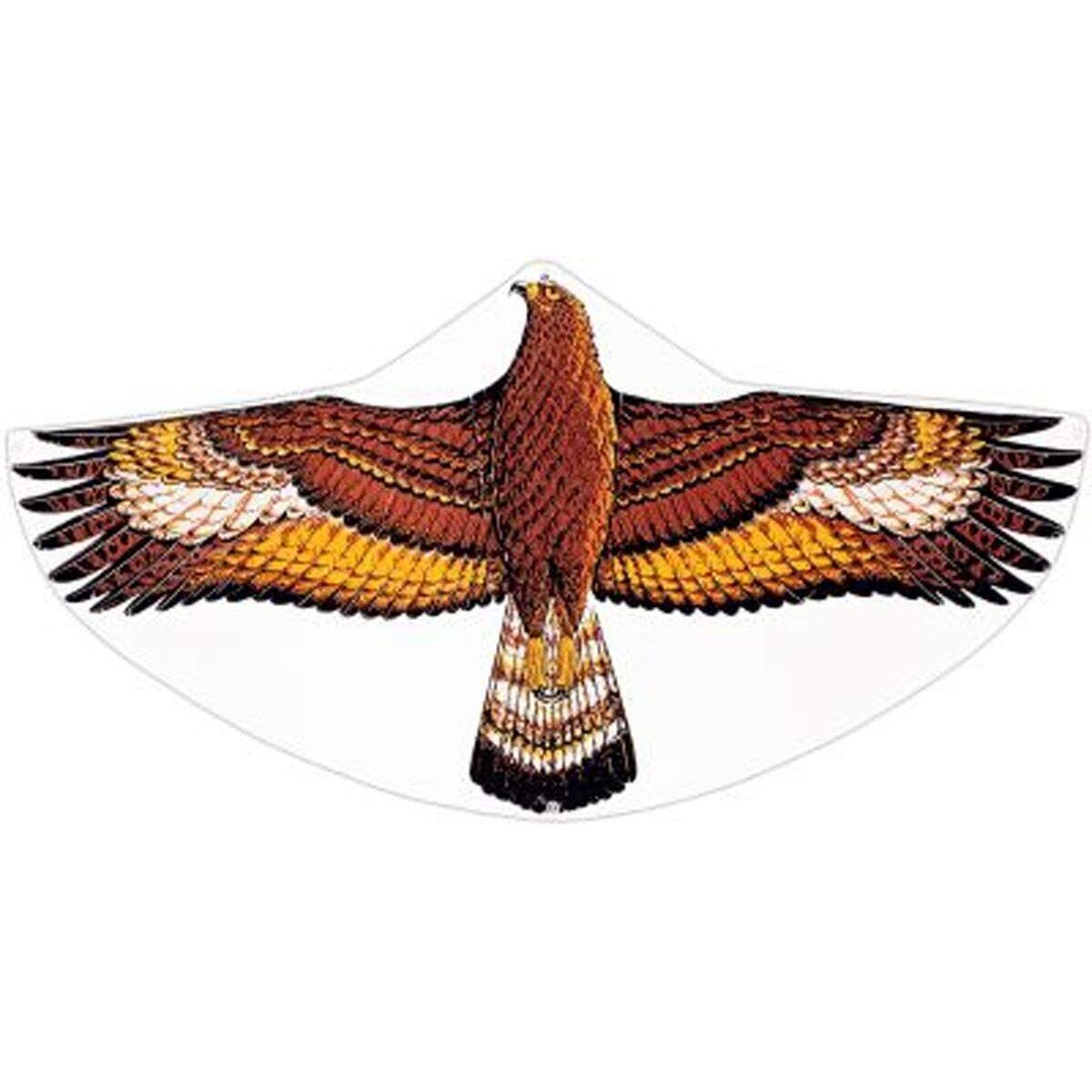 guenther-kinderdrachen-steinadler-C5F137791.jpg