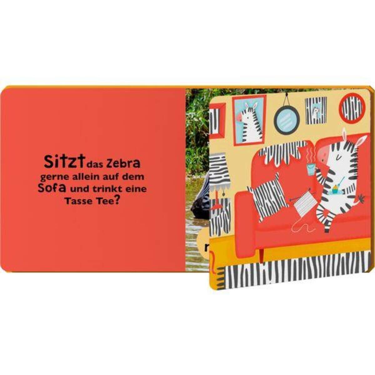 haba-304013-was-meinst-du-EC4E63192.jpg