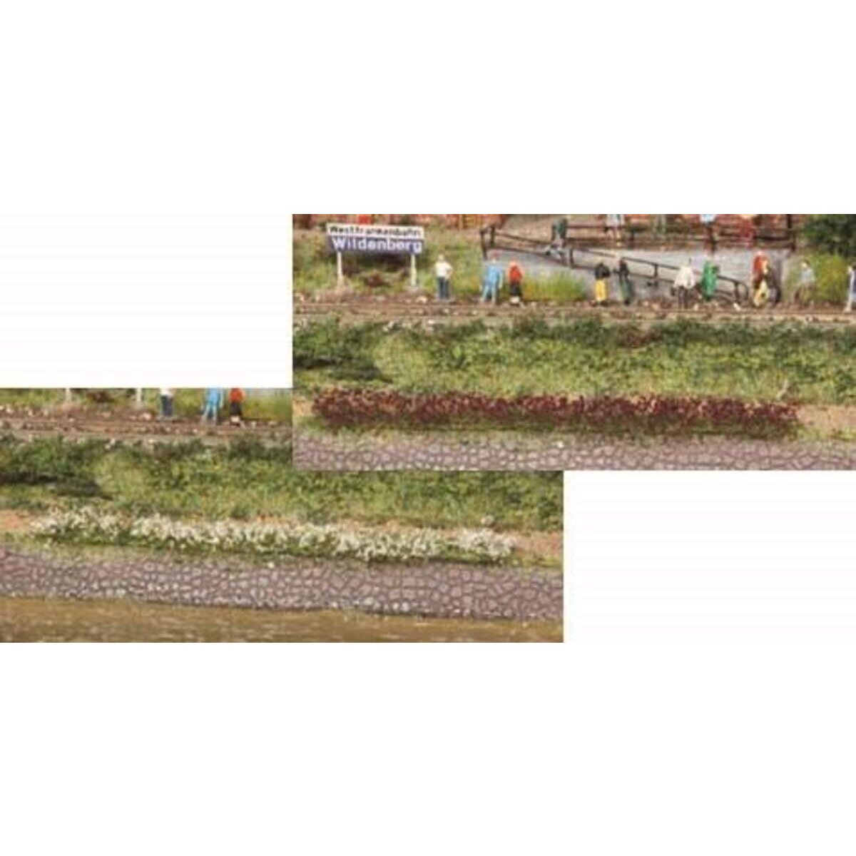 heki-1815-grasstreifen-weiss-erika-E8FEDE301.jpg