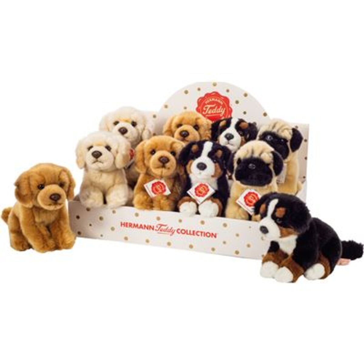 hermann-teddy-91952-hund-sitzend-9A308C101.jpg