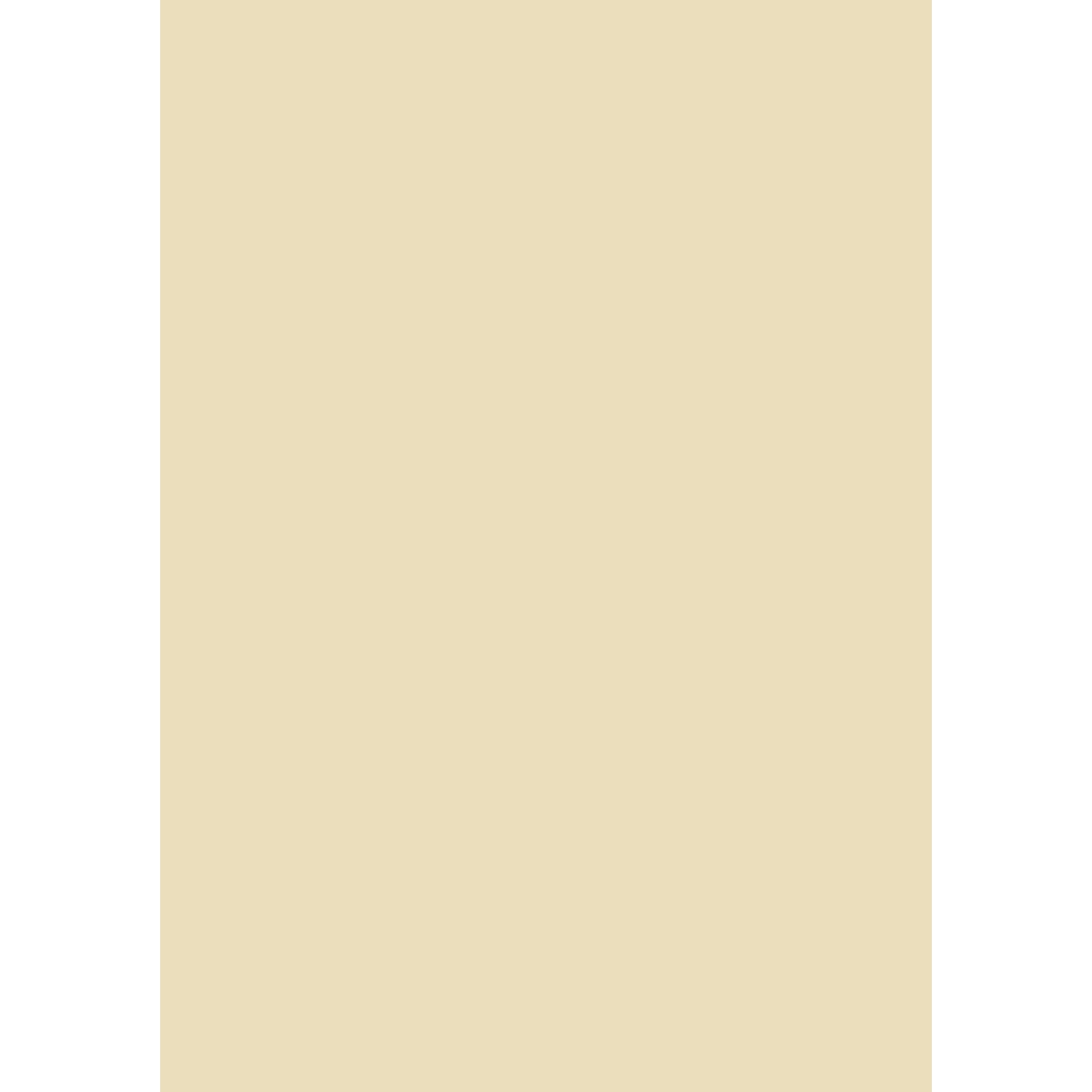 heyda-fotokarton-chamois-ca-50-42FF6ADC1.jpg