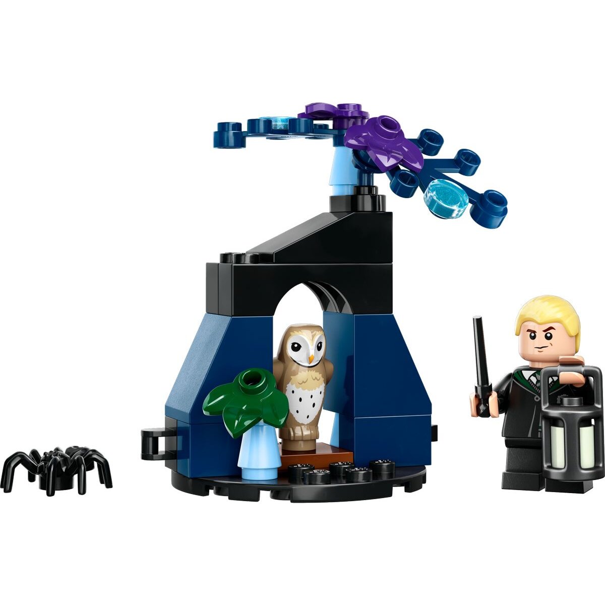lego-30677-draco-im-verbotenen-6F46C9763.jpg