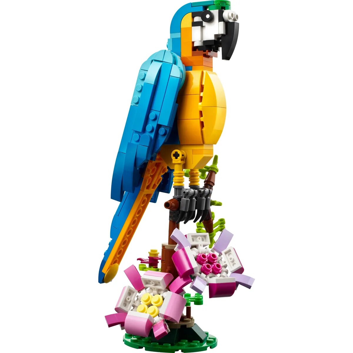 lego-creator-exotischer-papagei-4937DF9E3.jpg