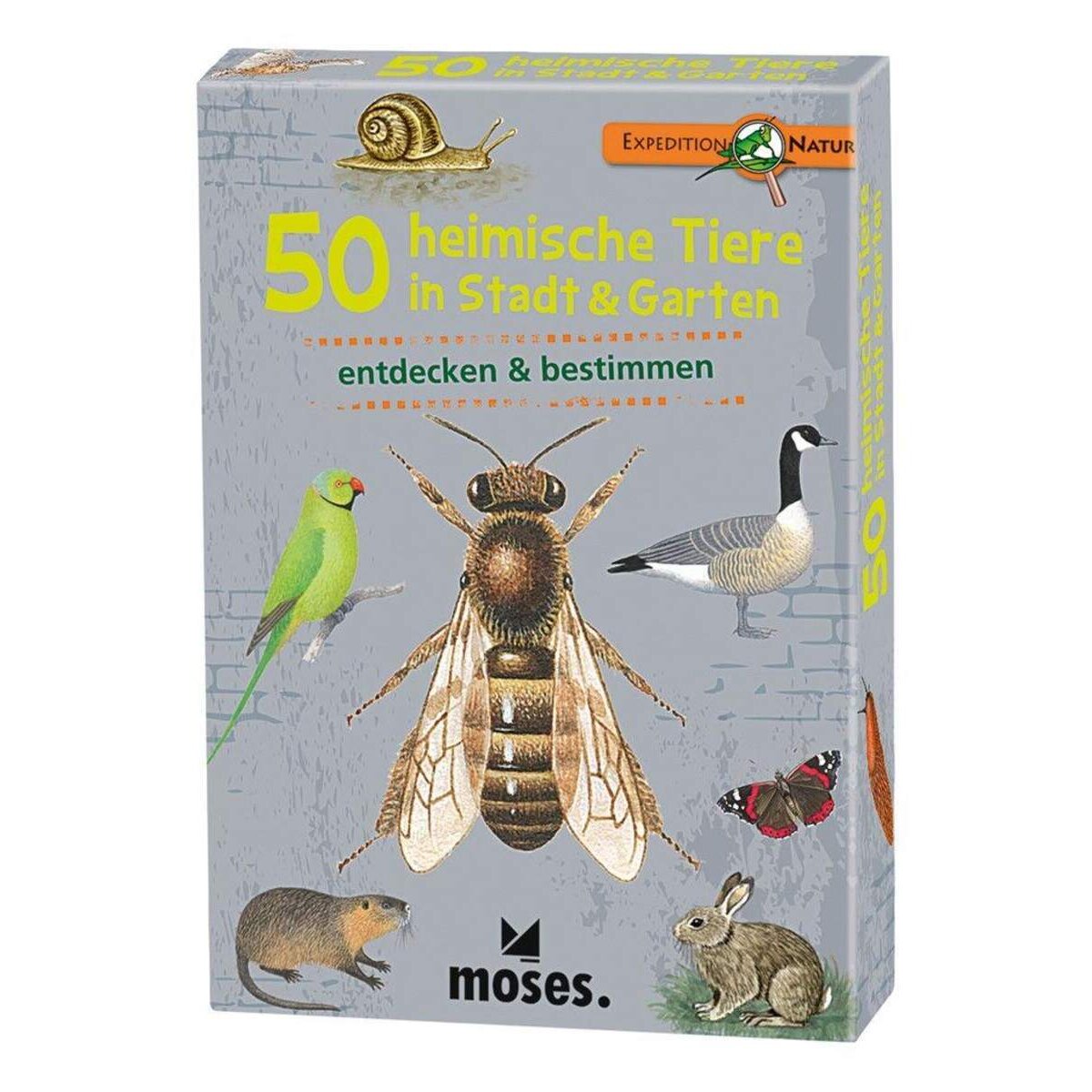 moses. Expedition Natur 50 heimische Tiere in Stadt & Garten