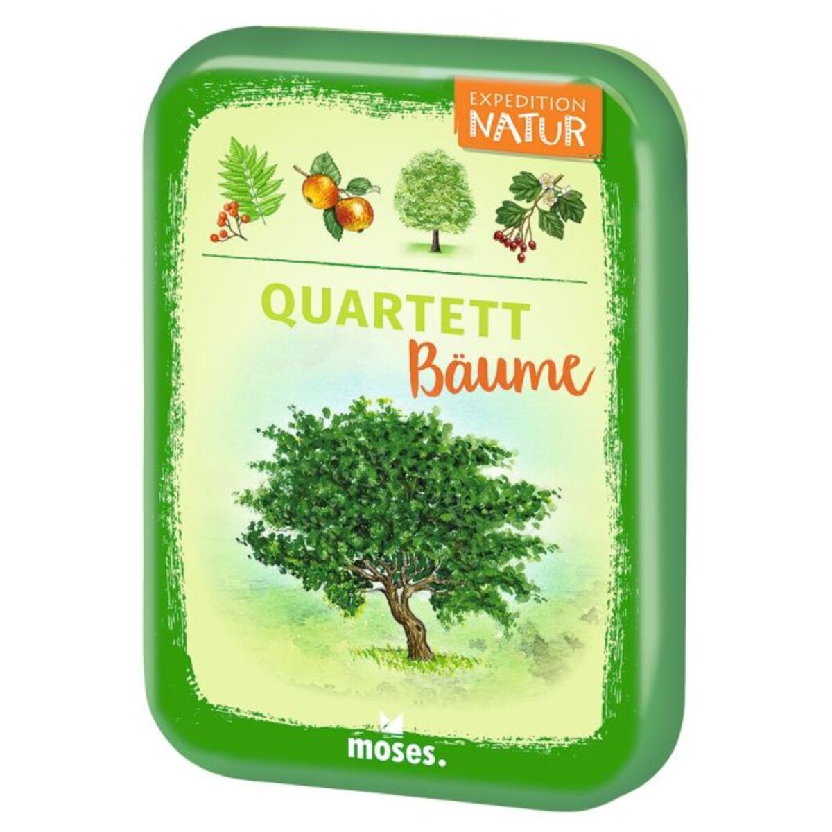 moses-expedition-natur-quartett-baeume-7C7B27031.jpg
