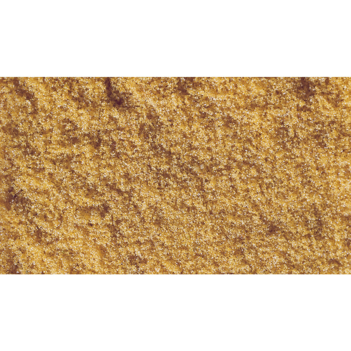 noch-07223-g-spur-1-4BC4243C2.jpg