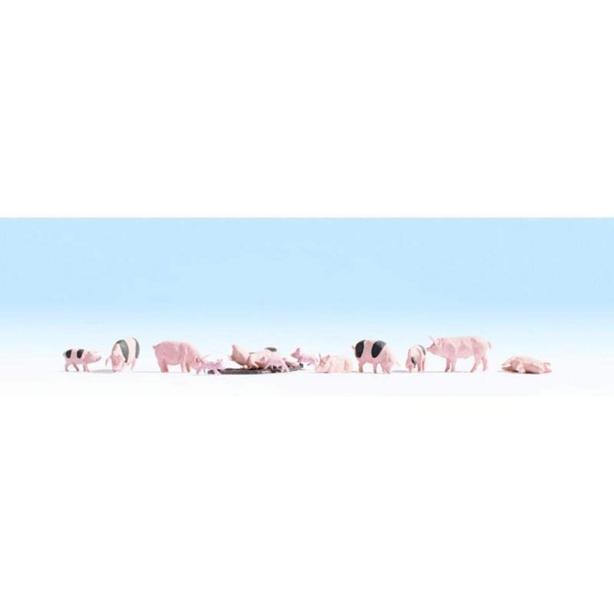 noch-schweine-12-stueck-9E0E99DF1.jpg