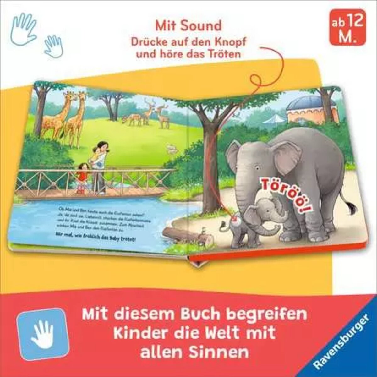 ravensburger-hoer-mal-hin-wer-D786594D4.jpg