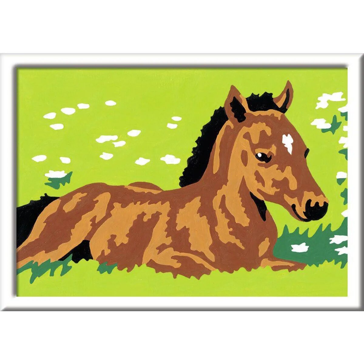 ravensburger-malen-nach-zahlen-kleines-6B81B48D2.jpg