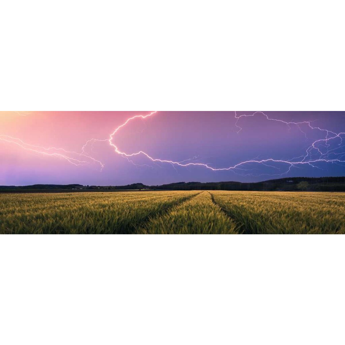 ravensburger-puzzle---sommergewitter-999946082.jpg