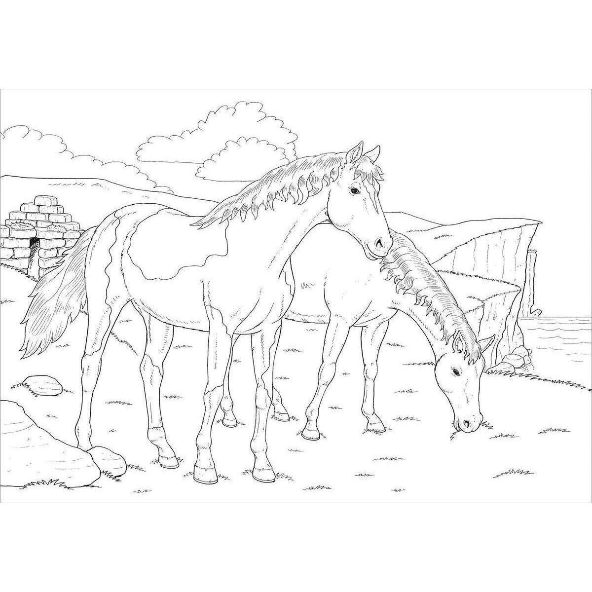 tessloff-sticker-malbuch---1A2E8D782.jpg