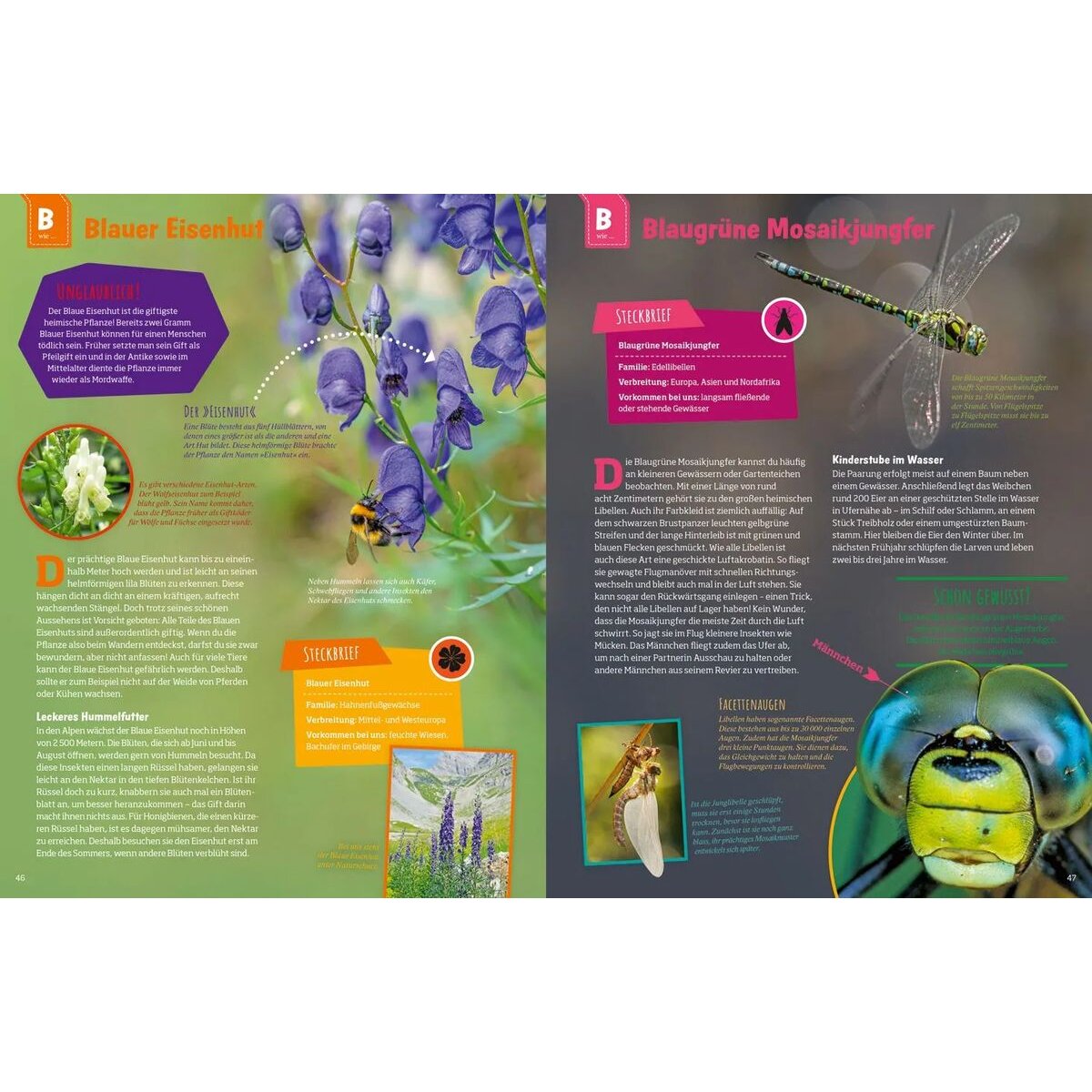 Tessloff WAS IST WAS Geniale Natur! Die Supertricks unserer Tiere und Pflanzen