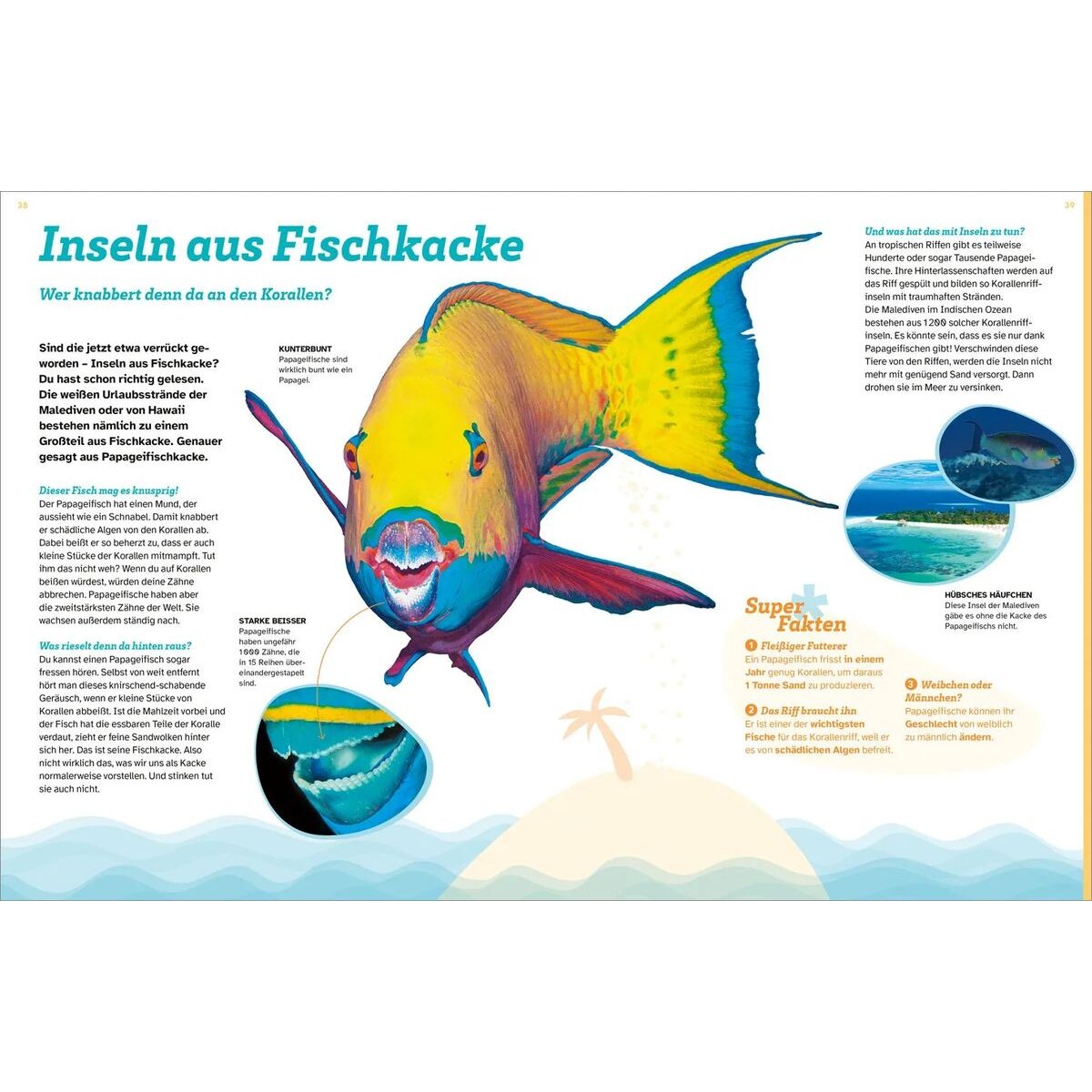 tessloff-was-ist-was-korallenriff-48A448594.jpg