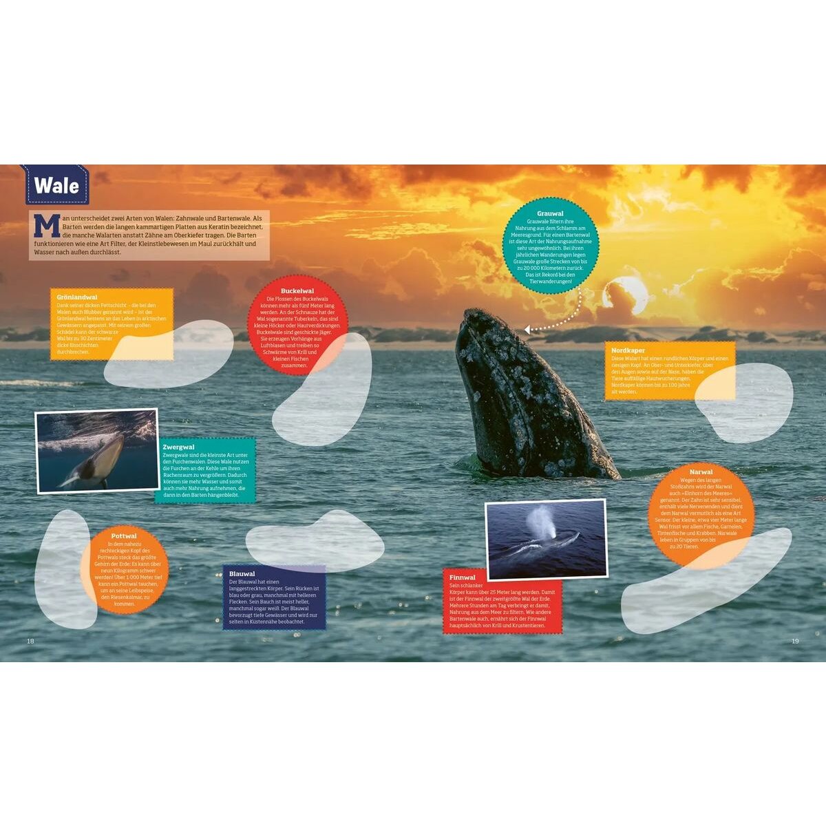tessloff-was-ist-was-stickerheft-0FE7254F4.jpg