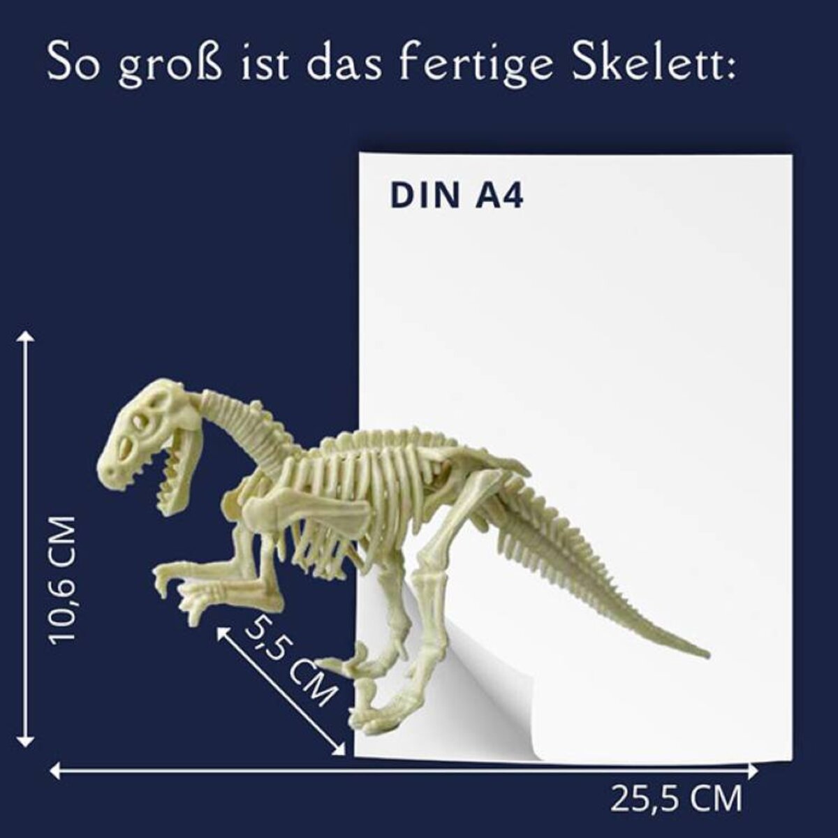 Topp Der Ausgrabungs-Adventskalender 24 coole Überraschungen zum Ausgraben