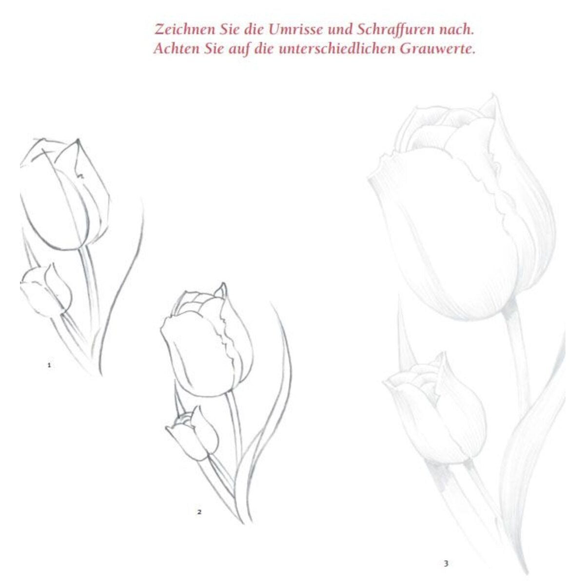 topp-kunst-des-zeichnens--9F602EF65.jpg