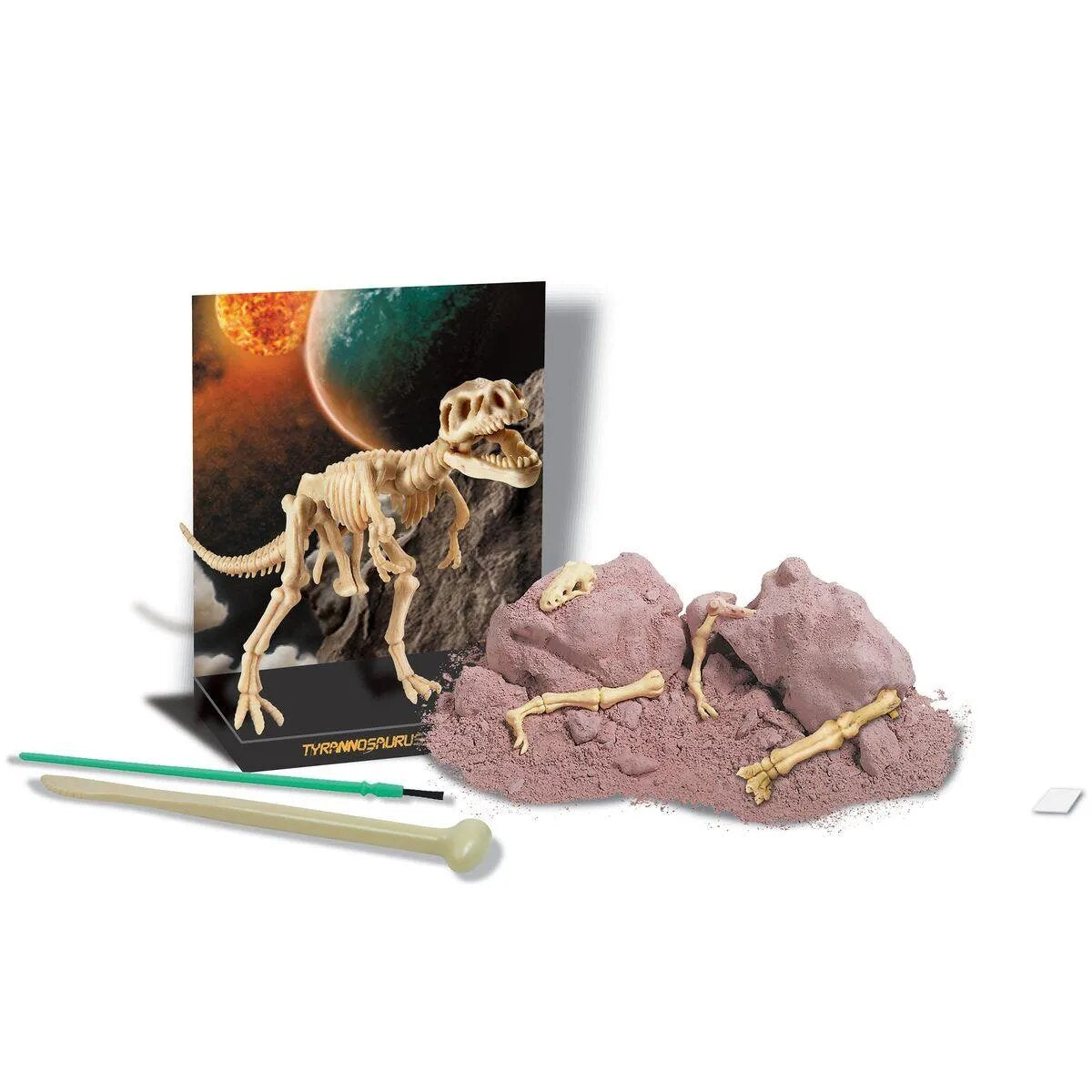 4m-dinosaurier-ausgrabung-t-rex-E0A013762.jpg