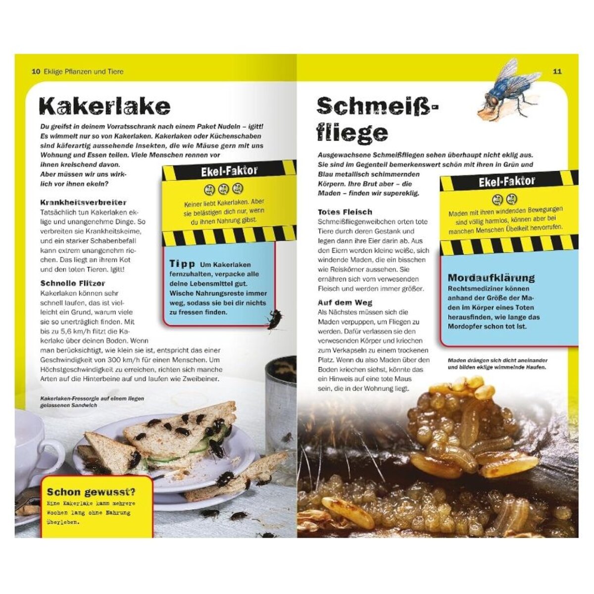 ars-edition-die-100-ekligsten-2CEA8EEE6.jpg