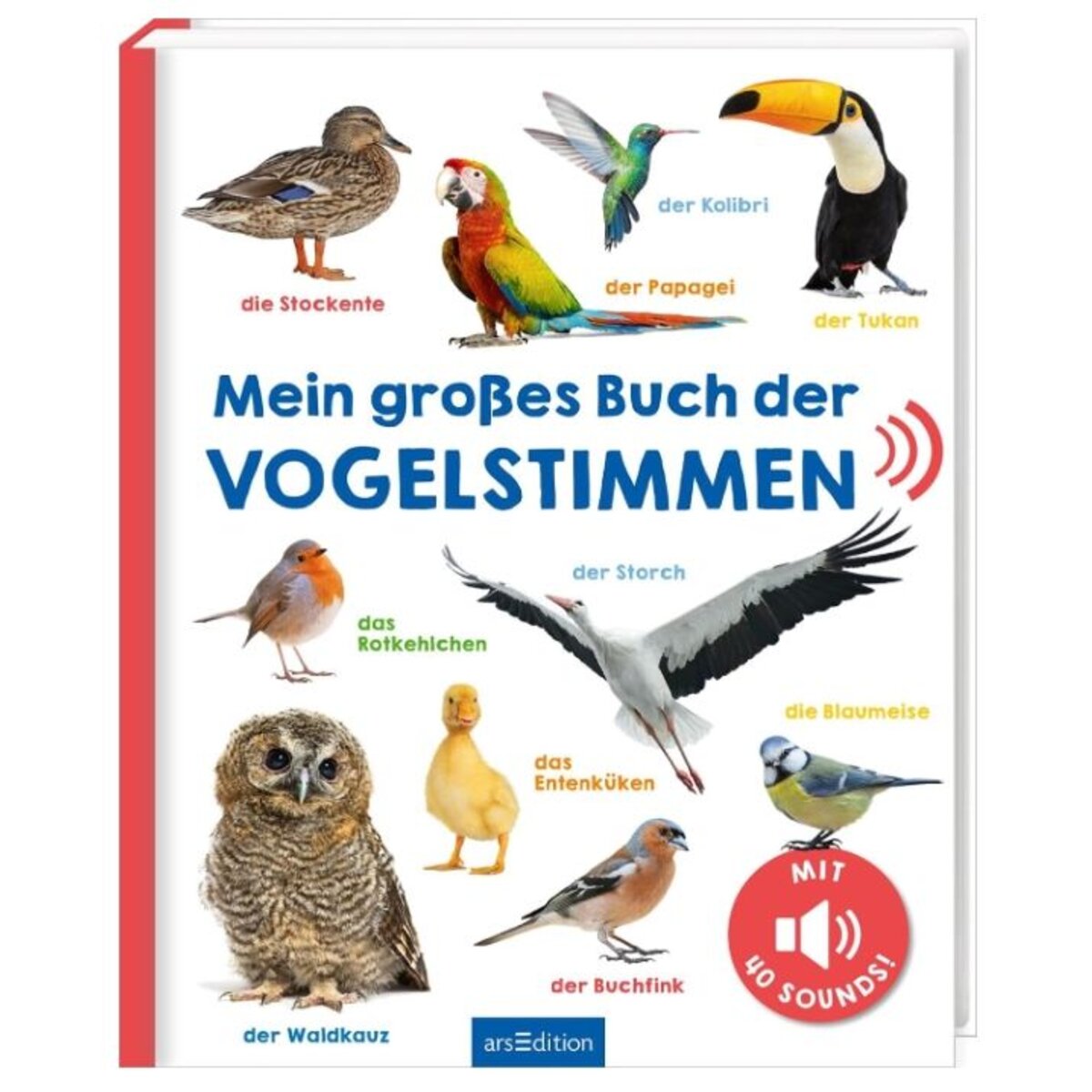 ars Edition Mein großes Buch der Vogelstimmen