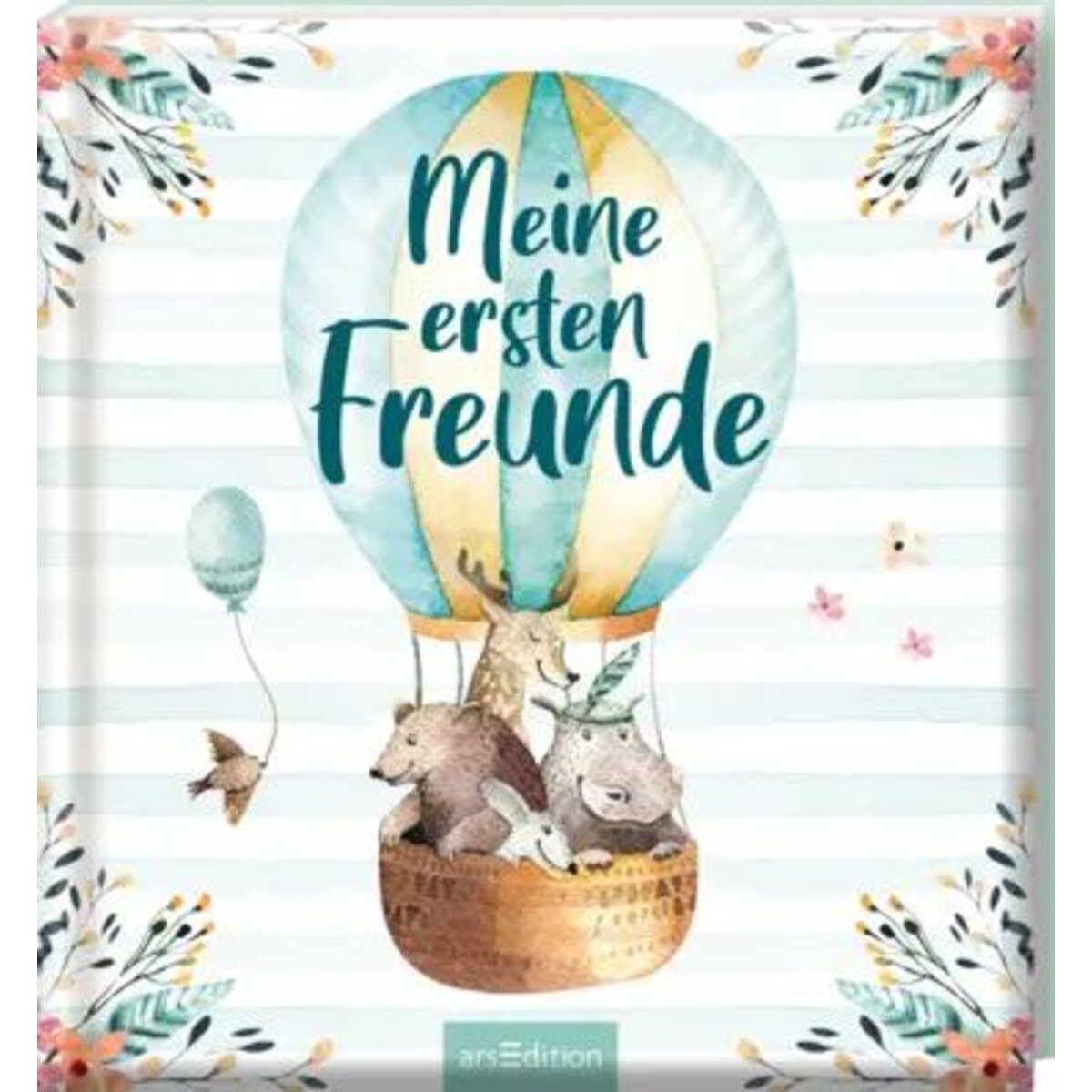 ars-edition-meine-erst-freunde-730CBCBB1.jpg