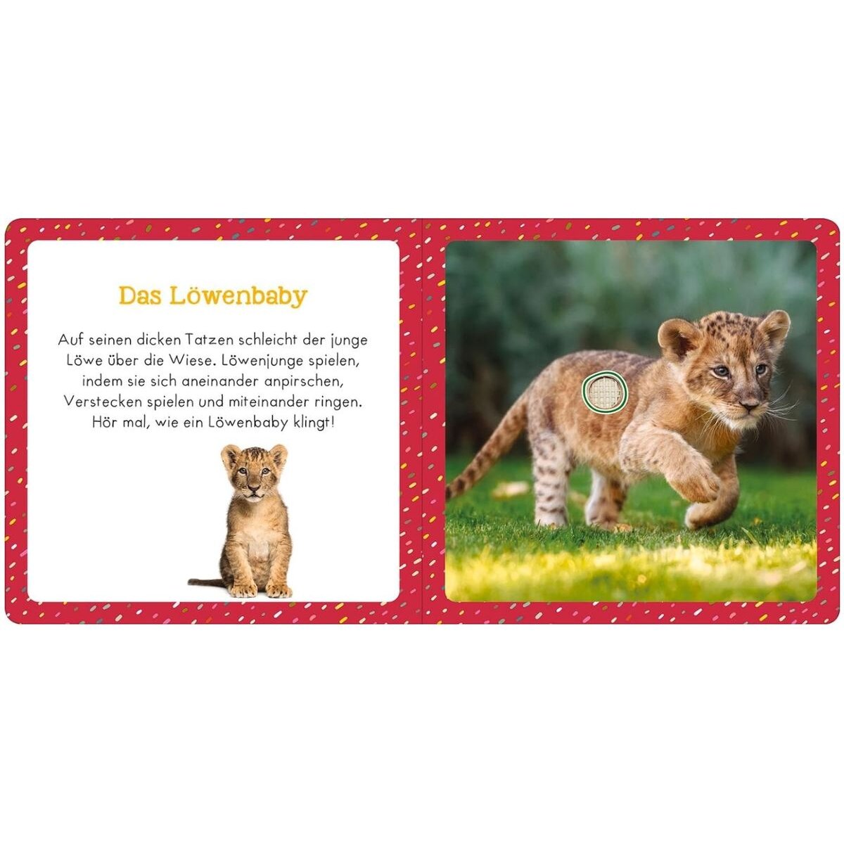 ars Edition Soundbuch für Klitzekleine – Lieblingstiere