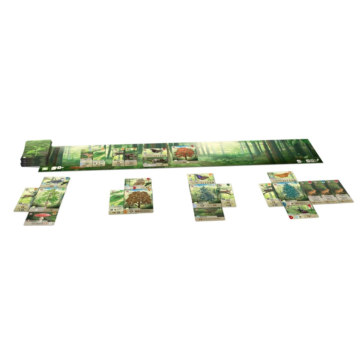 asmodee-lookout-spiele-mischwald-6A6690C23.jpg