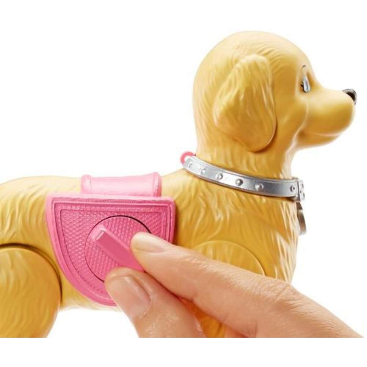 barbie-hundespaziergang-barbie--huendchen-3BA5218A2.jpg