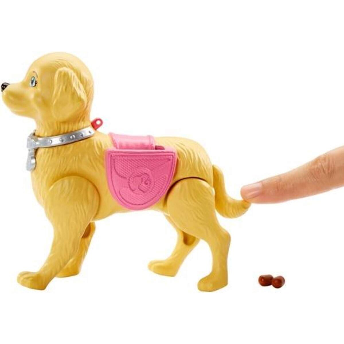 barbie-hundespaziergang-barbie--huendchen-3BA5218A3.jpg