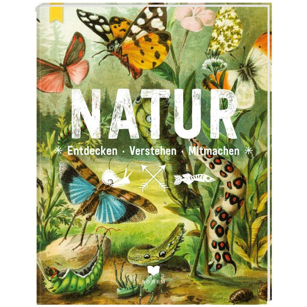 Bohem NATUR - Entdecken-Verstehen-Mitmachen