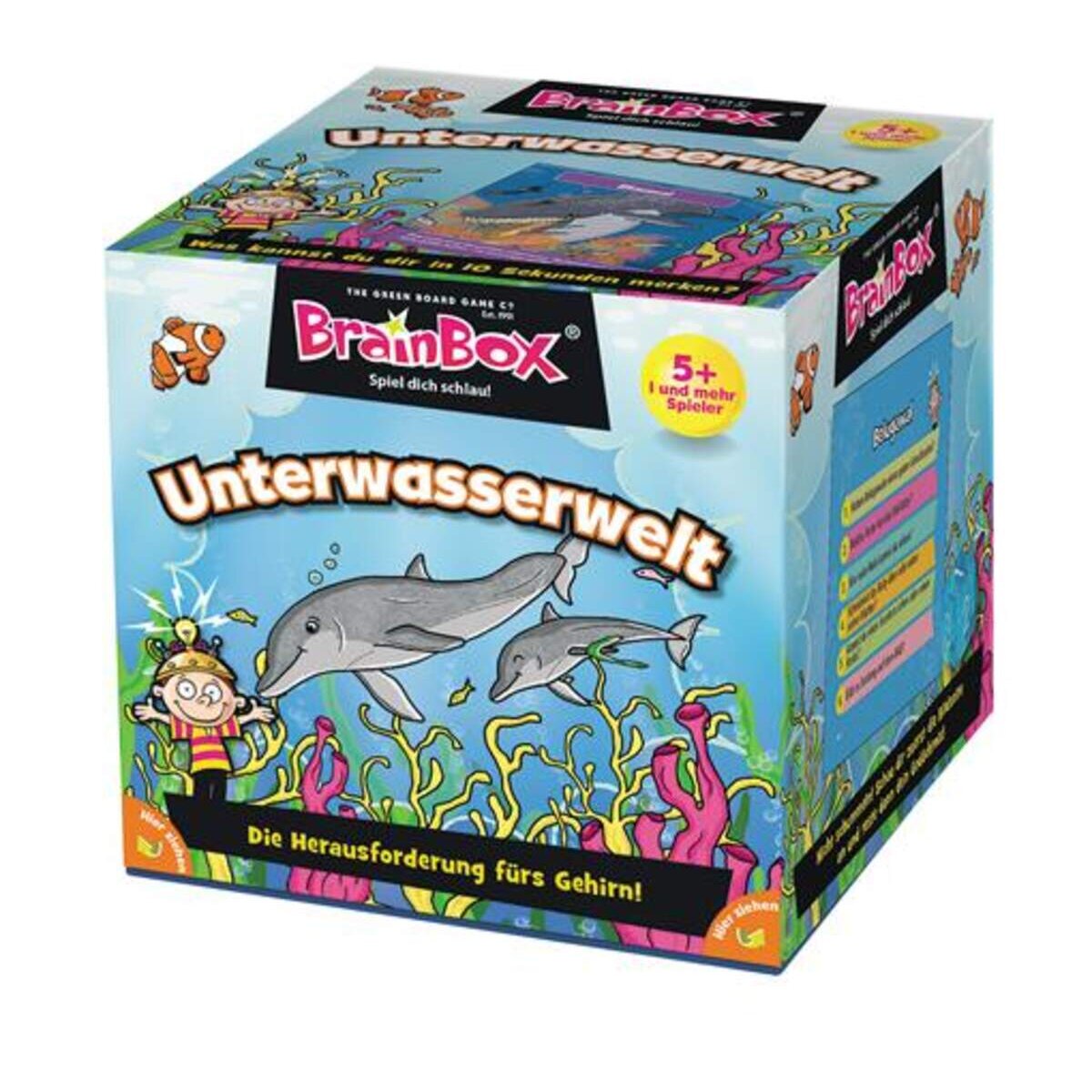 brainbox-finde-den-unterschied-unterwasserwelt-585CA0771.jpg