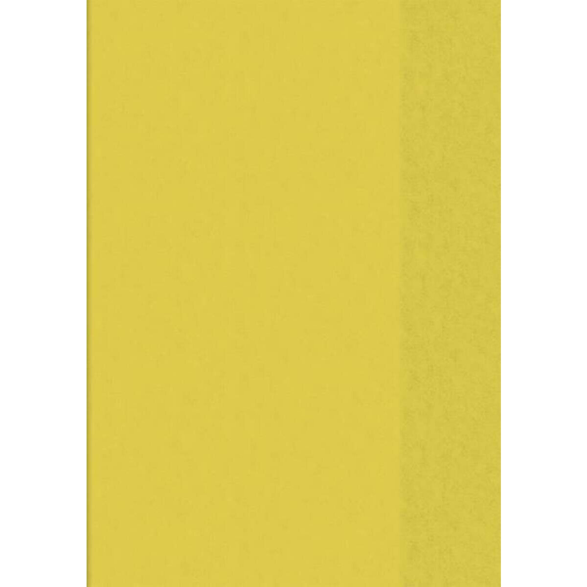 brunnen-hefthuelle-a4-transparent-gelb-42B42C691.jpg