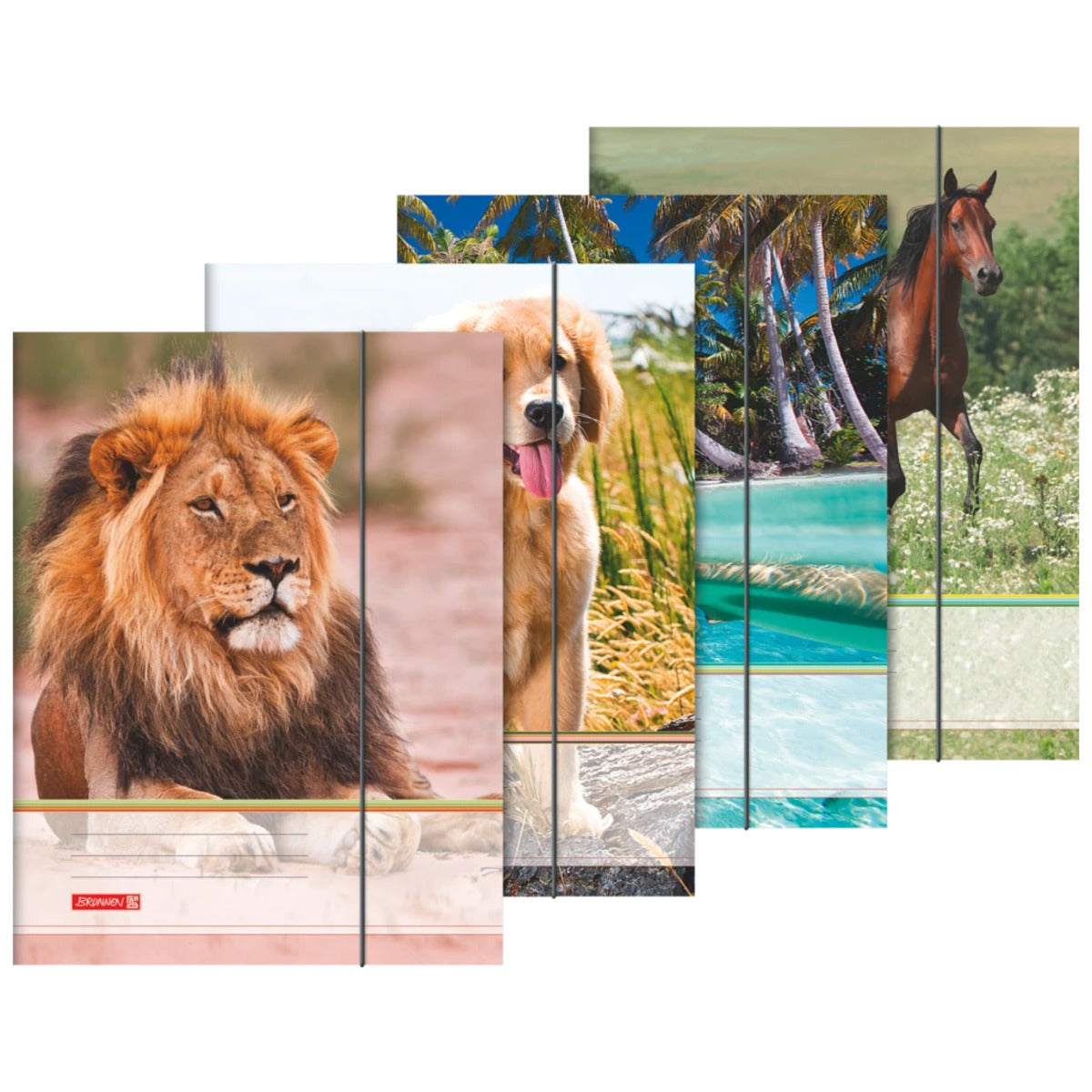 brunnen-sammelmappe-a4-tiere-gummizug-746654BC1.jpg