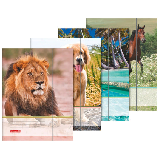 brunnen-sammelmappe-a4-tiere-gummizug-746654BC1.jpg